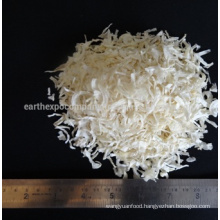 Supplier of Dehydrated Onion From India